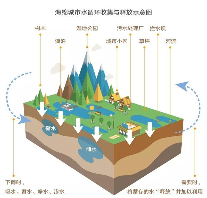 關于印發?島市海綿城市規劃建設管理辦法的通知